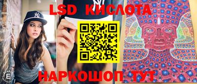 крисы Краснодар