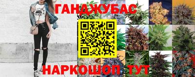 крисы Краснодар