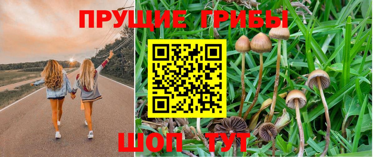 Псилоцибиновые грибы ЛСД  Вход с VPN  Коммунар 