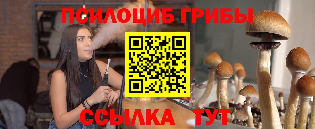 Псилоцибиновые грибы GOLDEN TEACHER Коммунар